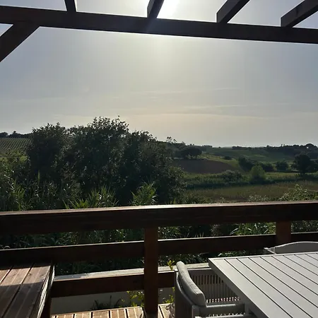 Piupiustays
